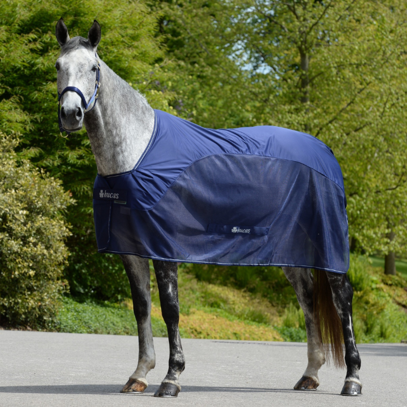 Bucas Competition Cooler