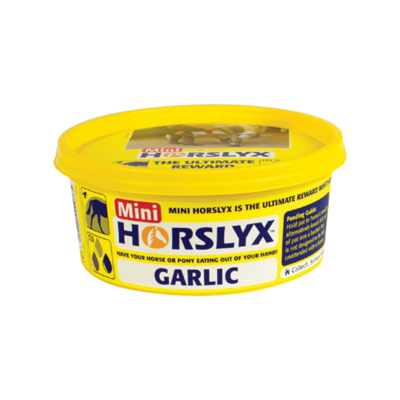 Horslyx Mini Liksteen