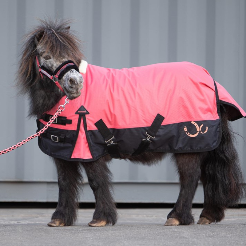 Harry's Horse Regendeken 0 Grams