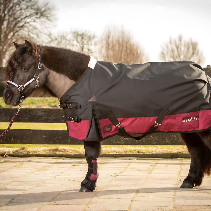 Harry's Horse Regendeken 0 Grams Stout