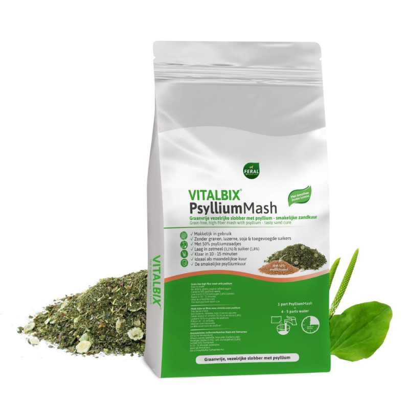 Vitalbix PsylliumMash