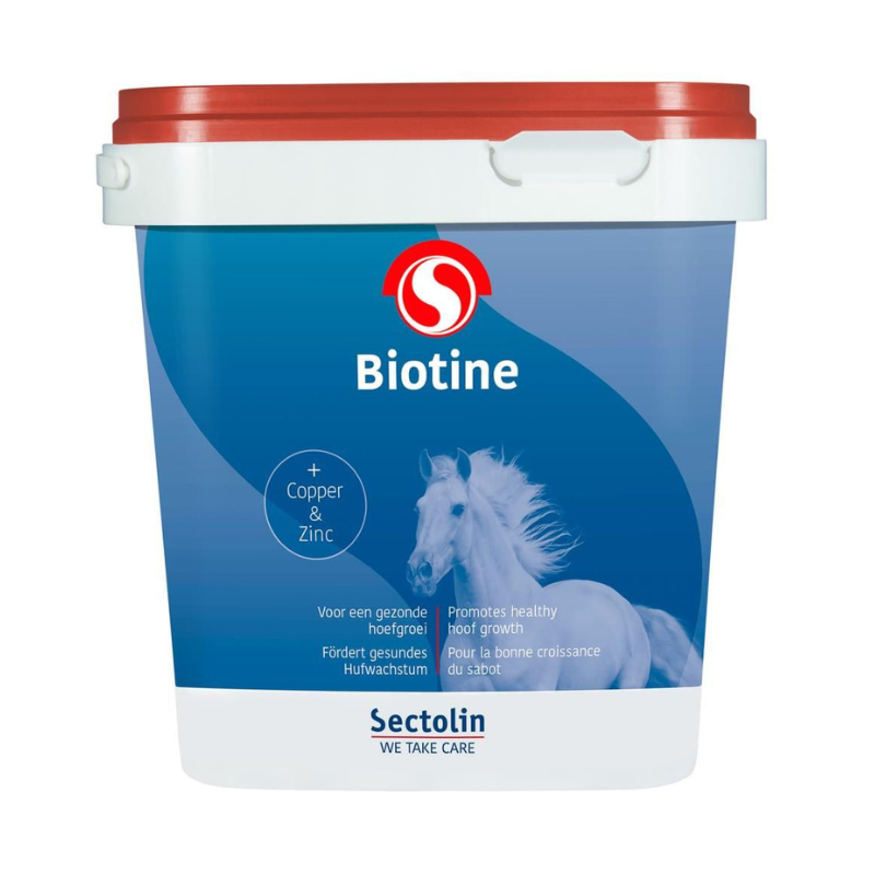 Sectolin Biotine