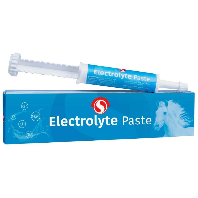 Sectolin Electrolyte Pasta