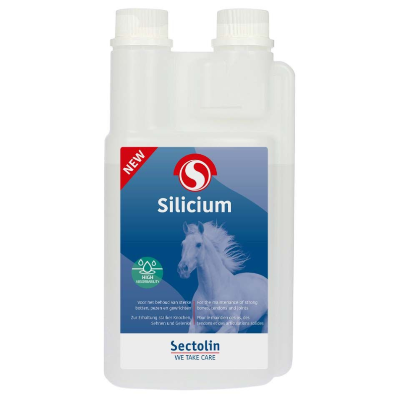 Sectolin Silicium