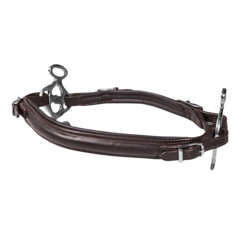 F.R.A. Calli Neusriem