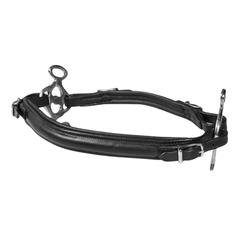 F.R.A. Calli Neusriem