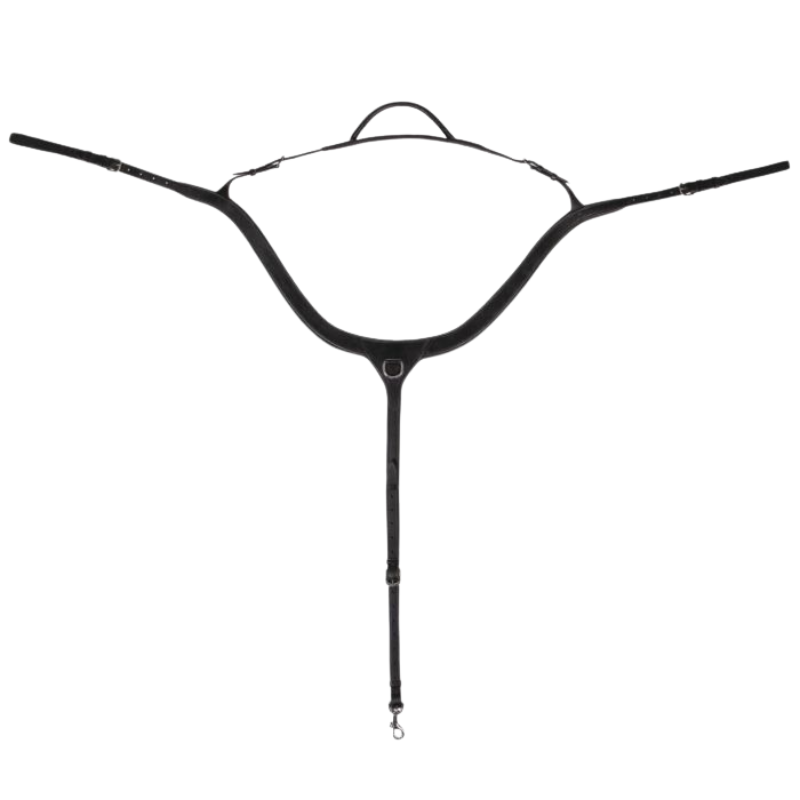 QHP Borsttuig Met Handvat