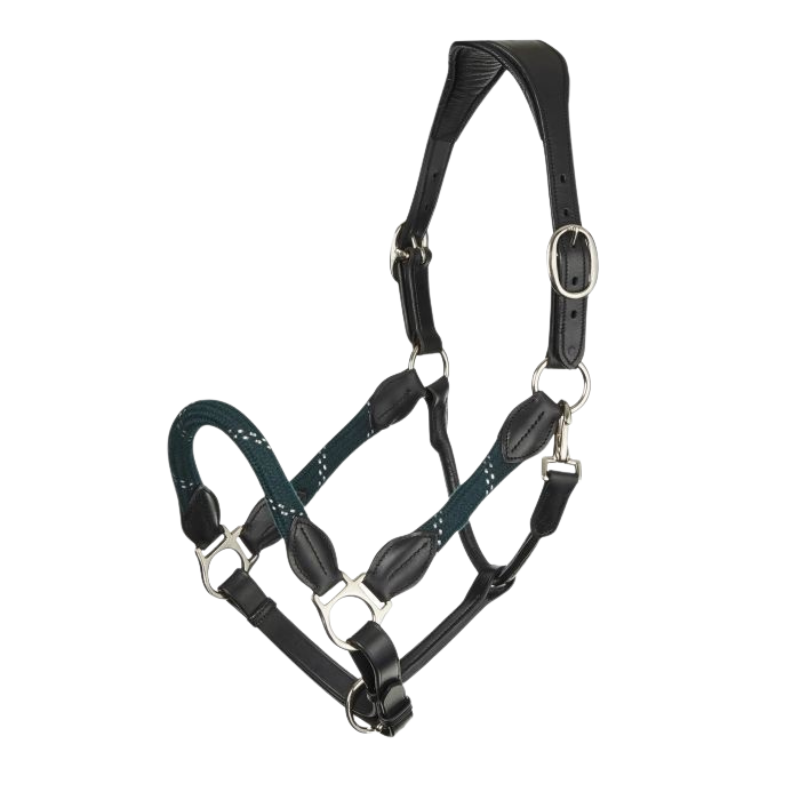 Lemieux Lasso Headcollar