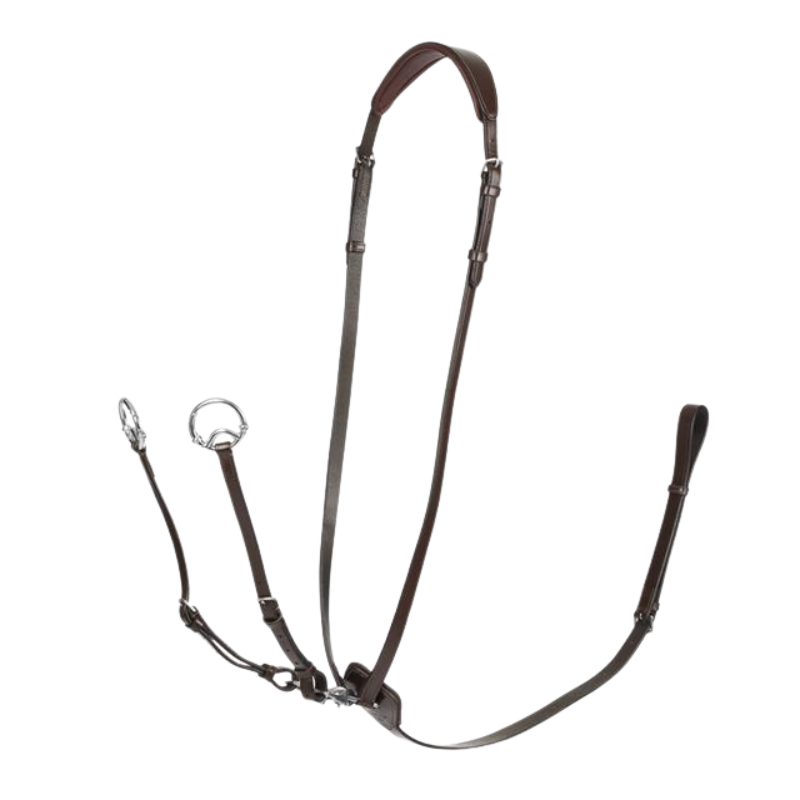 Lemieux Kudos Running Martingale