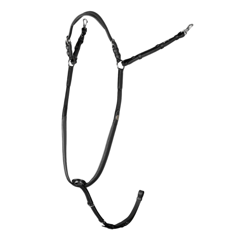 Dy'on Borsttuig Bridge Working Collection