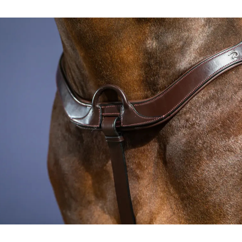 Dy'on Anatomisch Borsttuig New English Collection