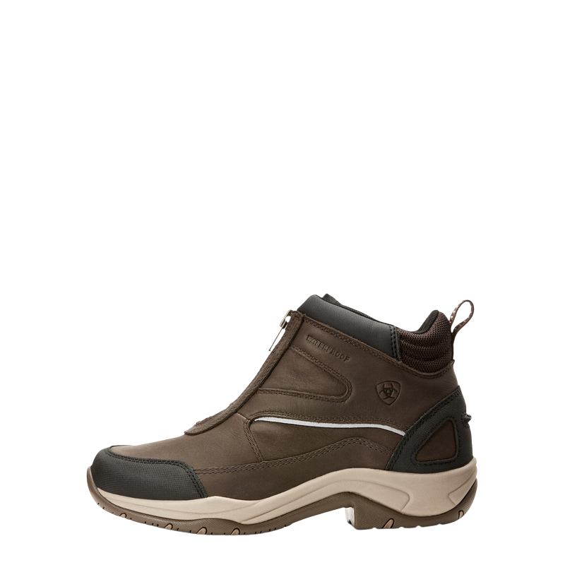 Ariat Telluride H20 Zip Heren Stalschoen