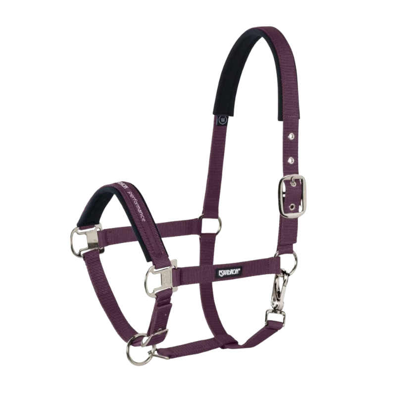 Eskadron Halster Pin Buckle