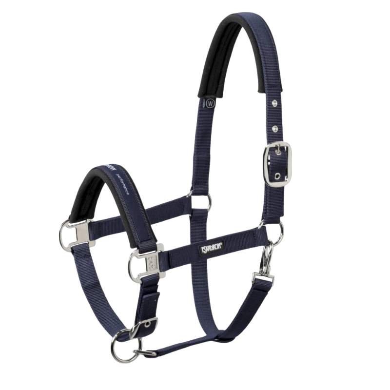 Eskadron Halster Pin Buckle