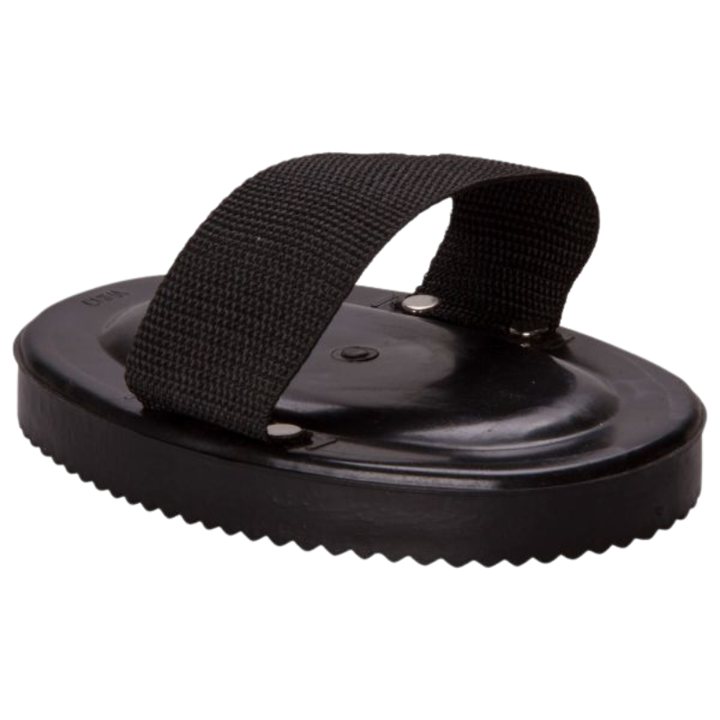 Imperial Riding Rosborstel