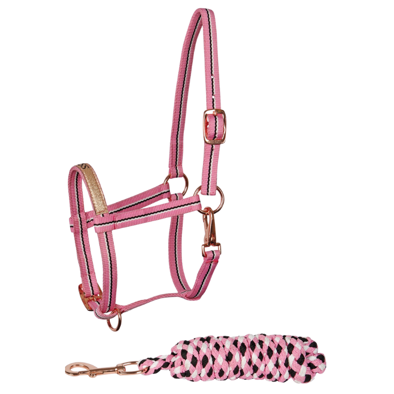 Harry's Horse Veulenhalsterset Foal