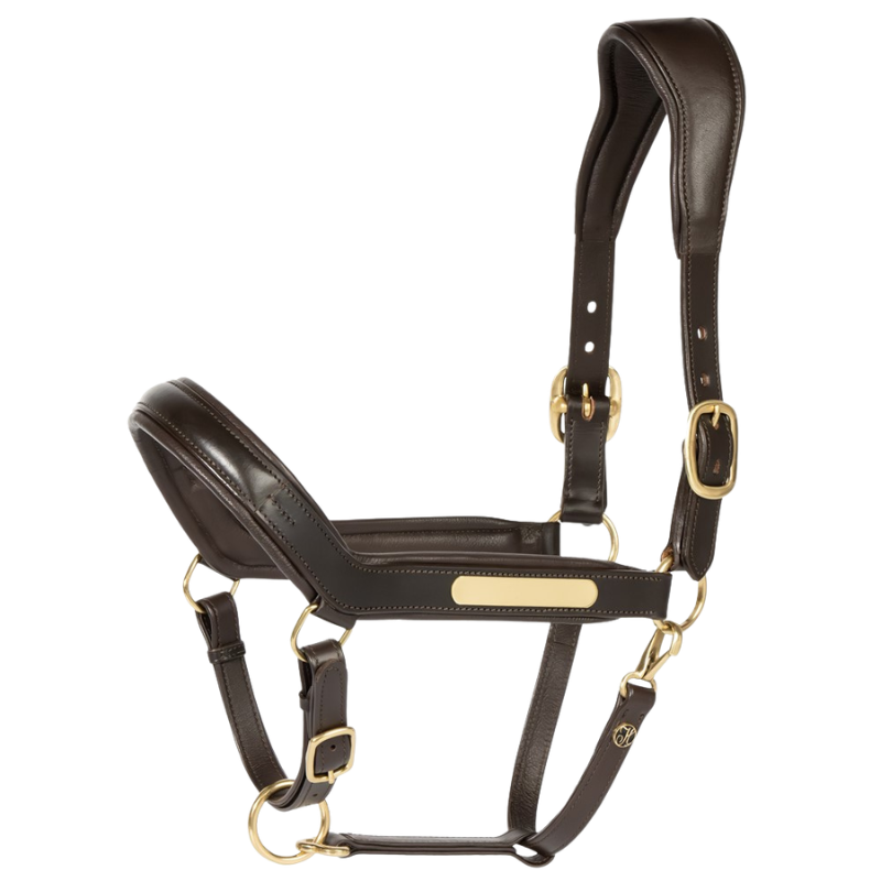 Harry's Horse Halster Leder Anatomic II
