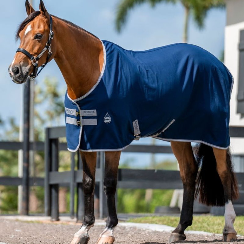 Amigo Stable Sheet
