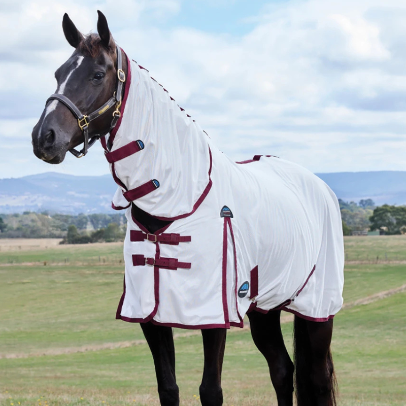 Weatherbeeta ComFiTec Essential Fly Sheet Combo