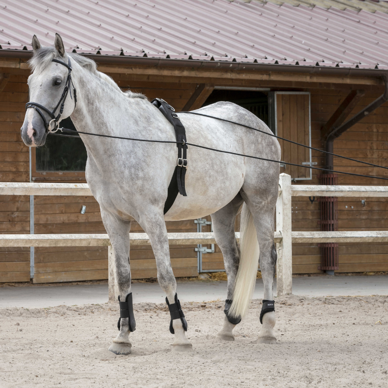Riding World Leren/Koord Teugels