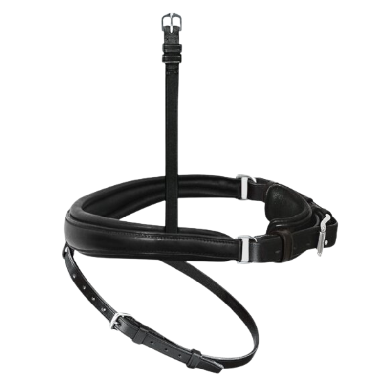 Passier Exchangeable Anatomically-Formed Caveson Special With Flash Strap