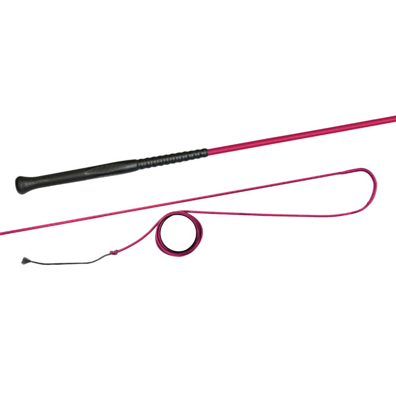 Fleck Longeerzweep Ergo-Grip