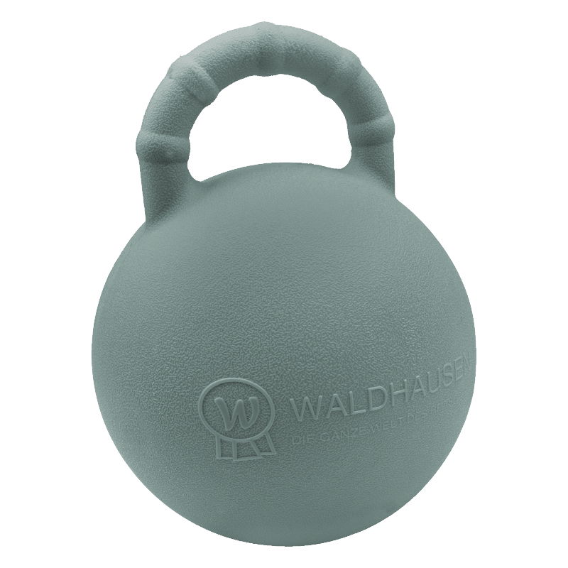 Waldhausen Fun Ball