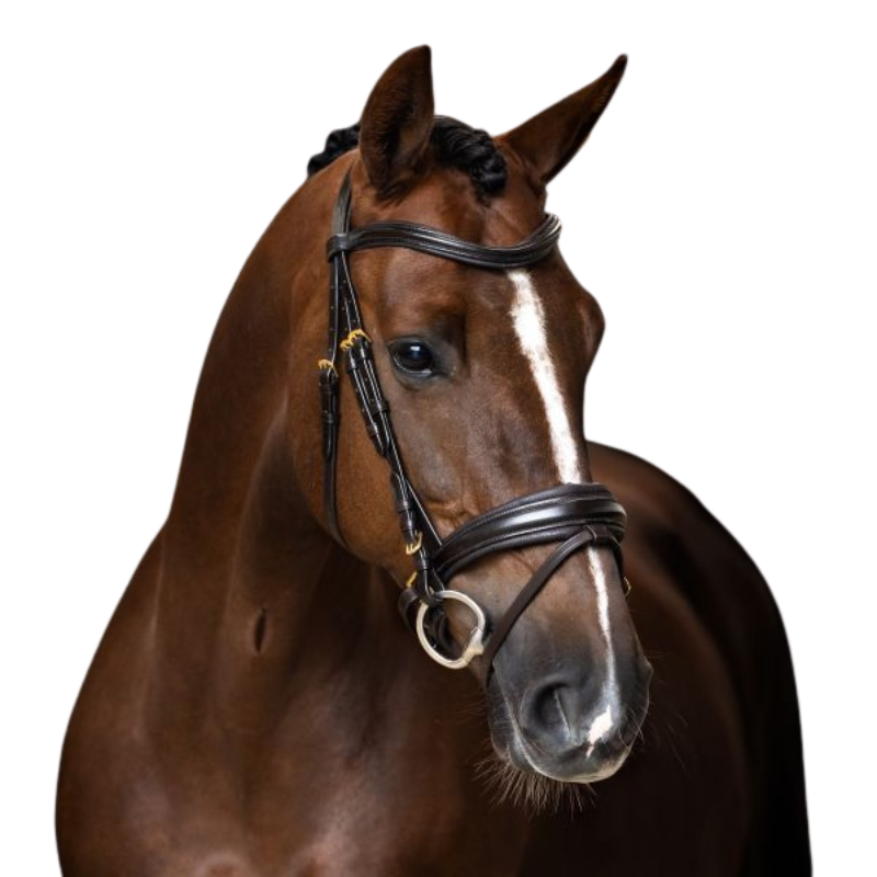 Imperial Riding Bridle English IRH Combined Sleek