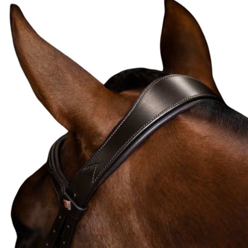 Imperial Riding Bridle English IRH Combined Sleek