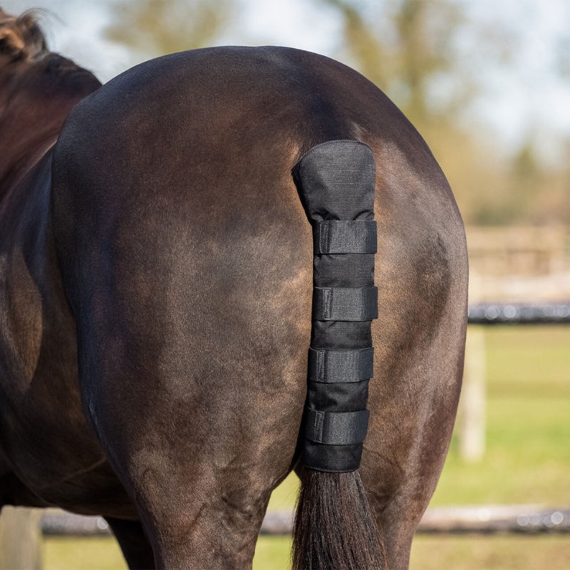 QHP Staartbeschermers Turnout