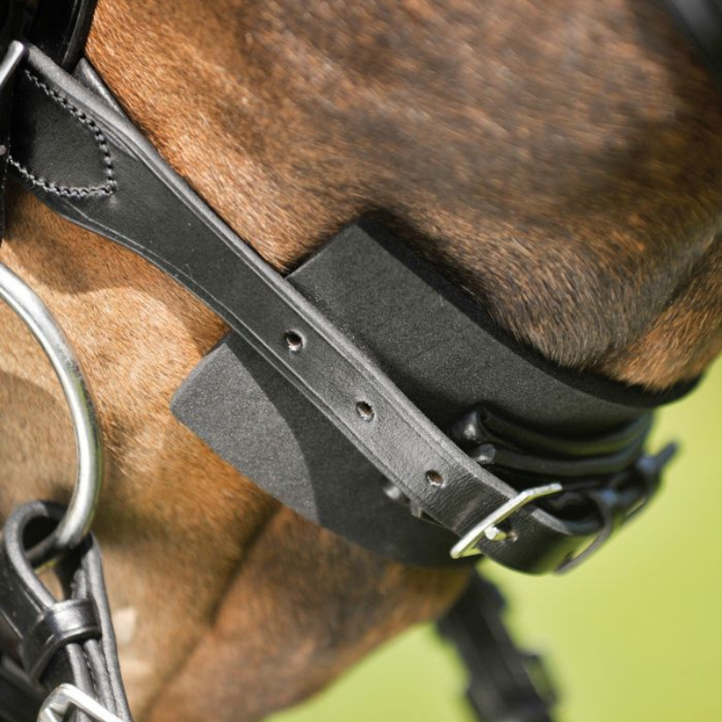 Waldhausen Bridle Pad