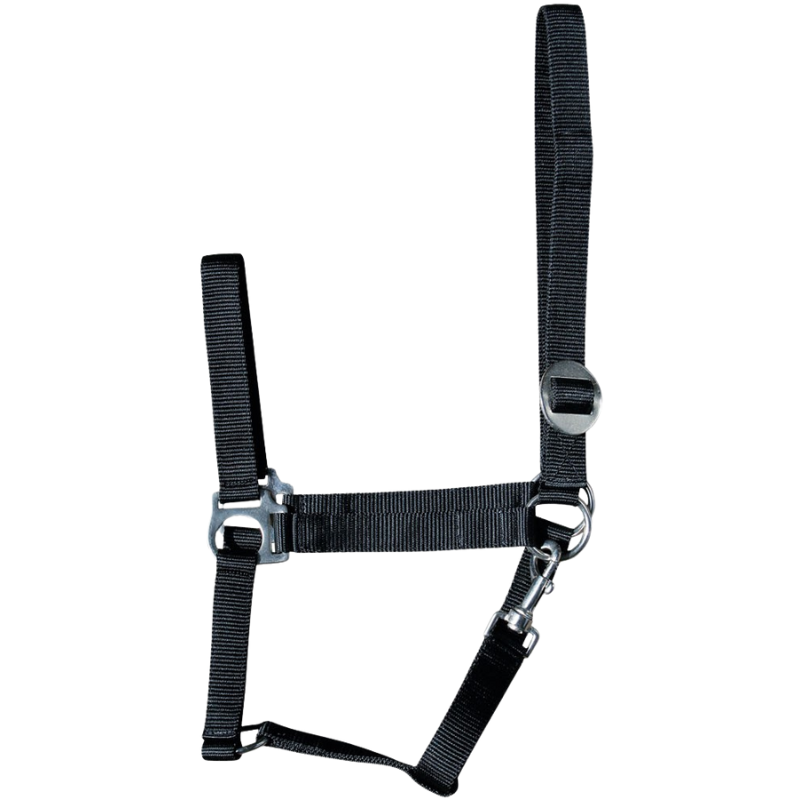 Harry's Horse Halster Economy