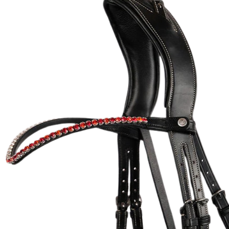 Montar Crystal Fair Frontriem