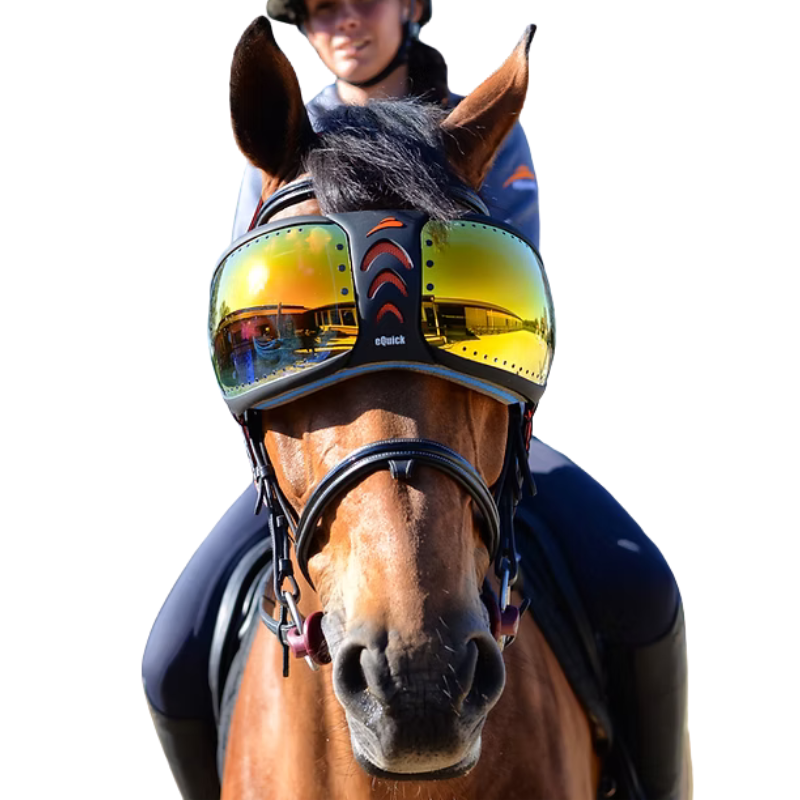 Equick eVysor