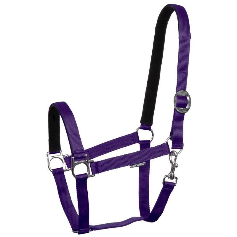 Harry´s Horse Halster Padded
