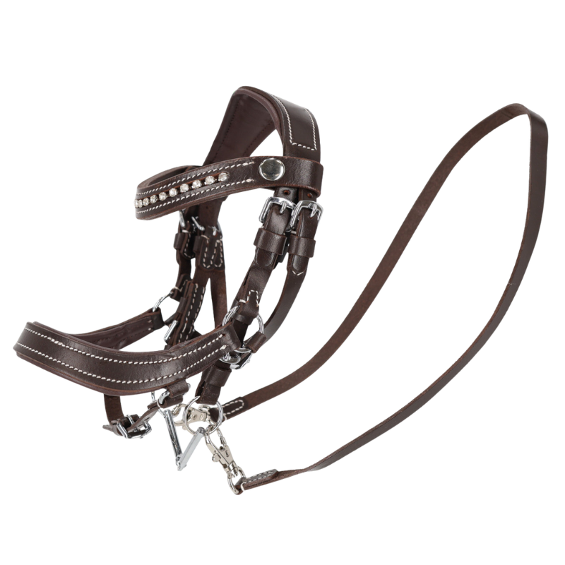 QHP Hoofdstel Dolly Hobby horse