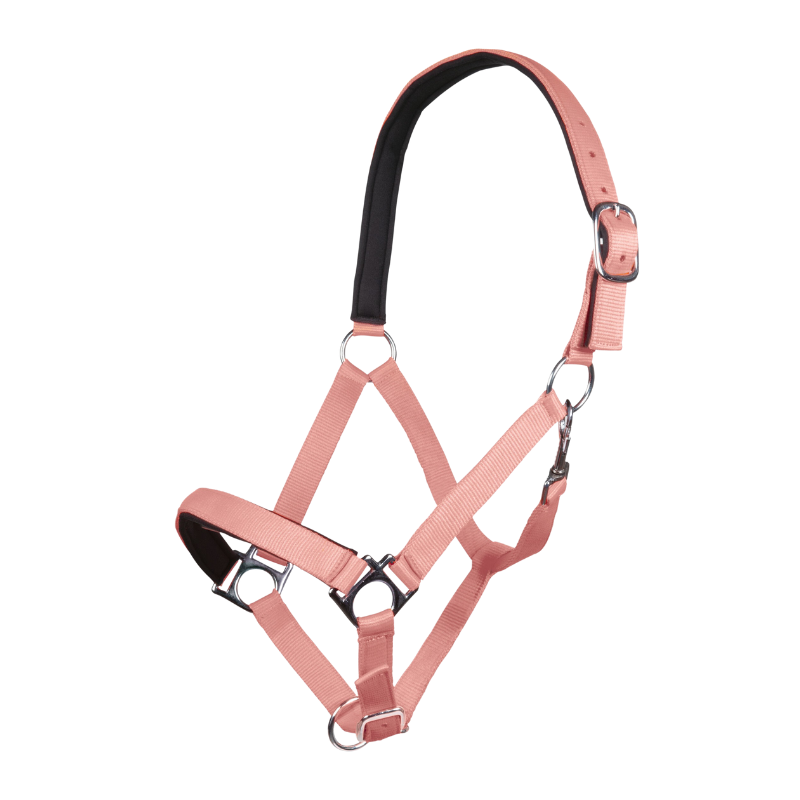 HKM Halster Stars Softice