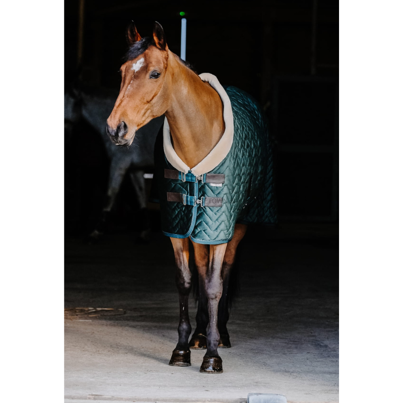 Equitheme Velvet Staldeken