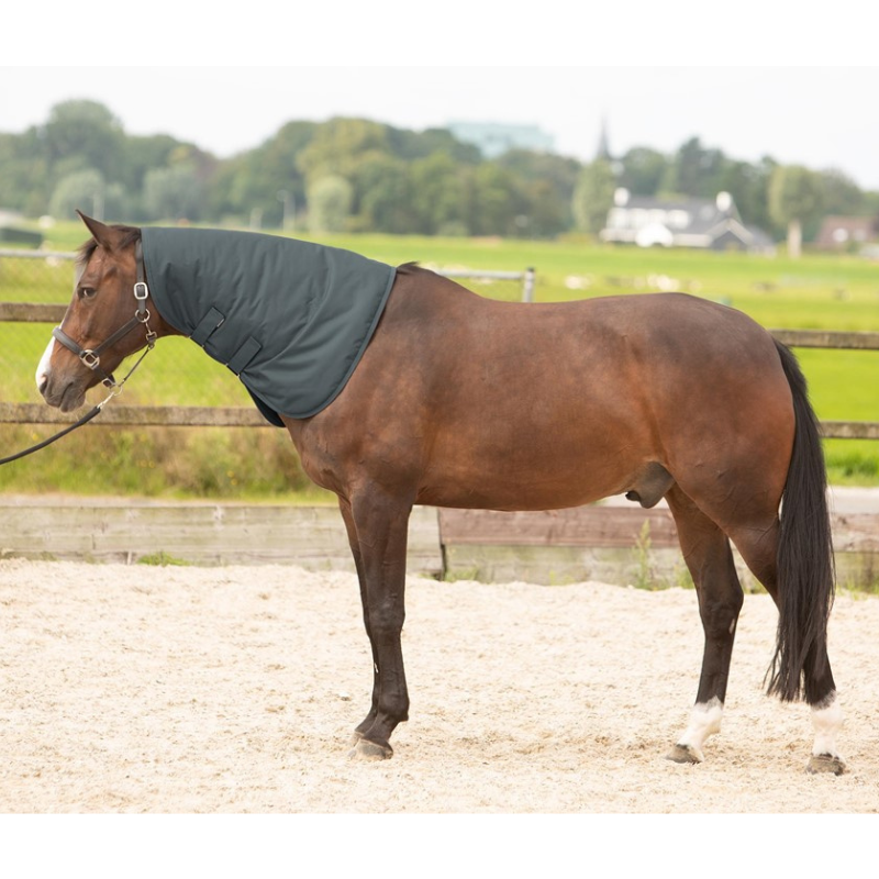 Harry's Horse Halsstuk Thor 200 Grams