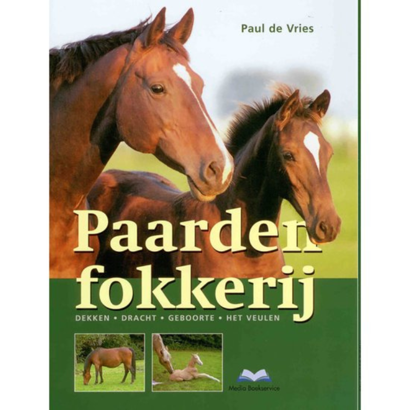 Paarden Fokkerij