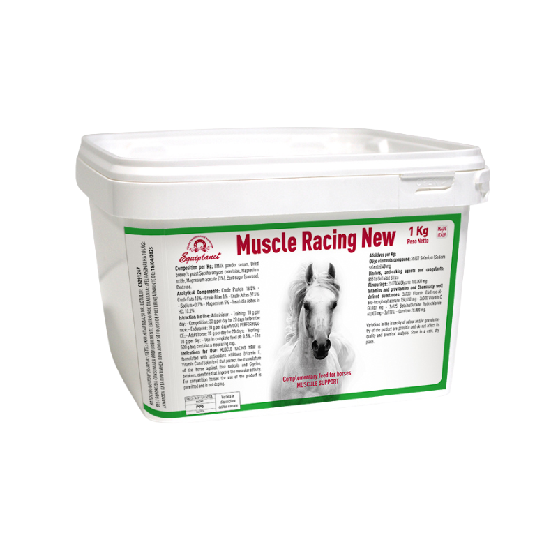 Equiplanet Muscle Racing