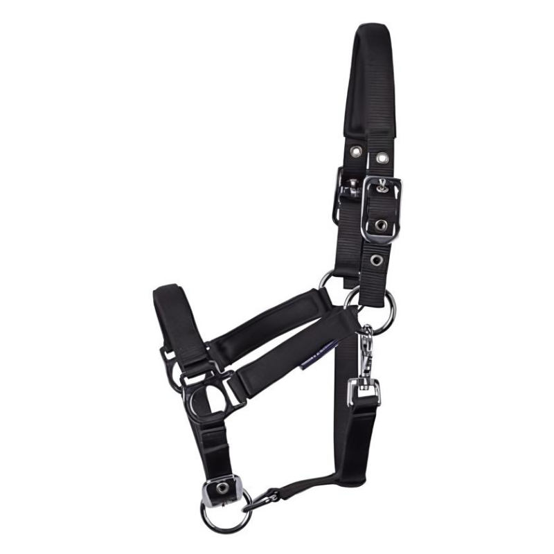 Harry's Horse Veulenhalster Padded