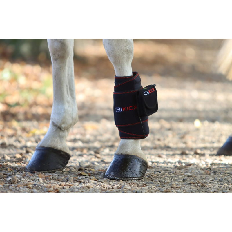 Cellkick Beenpad Pro