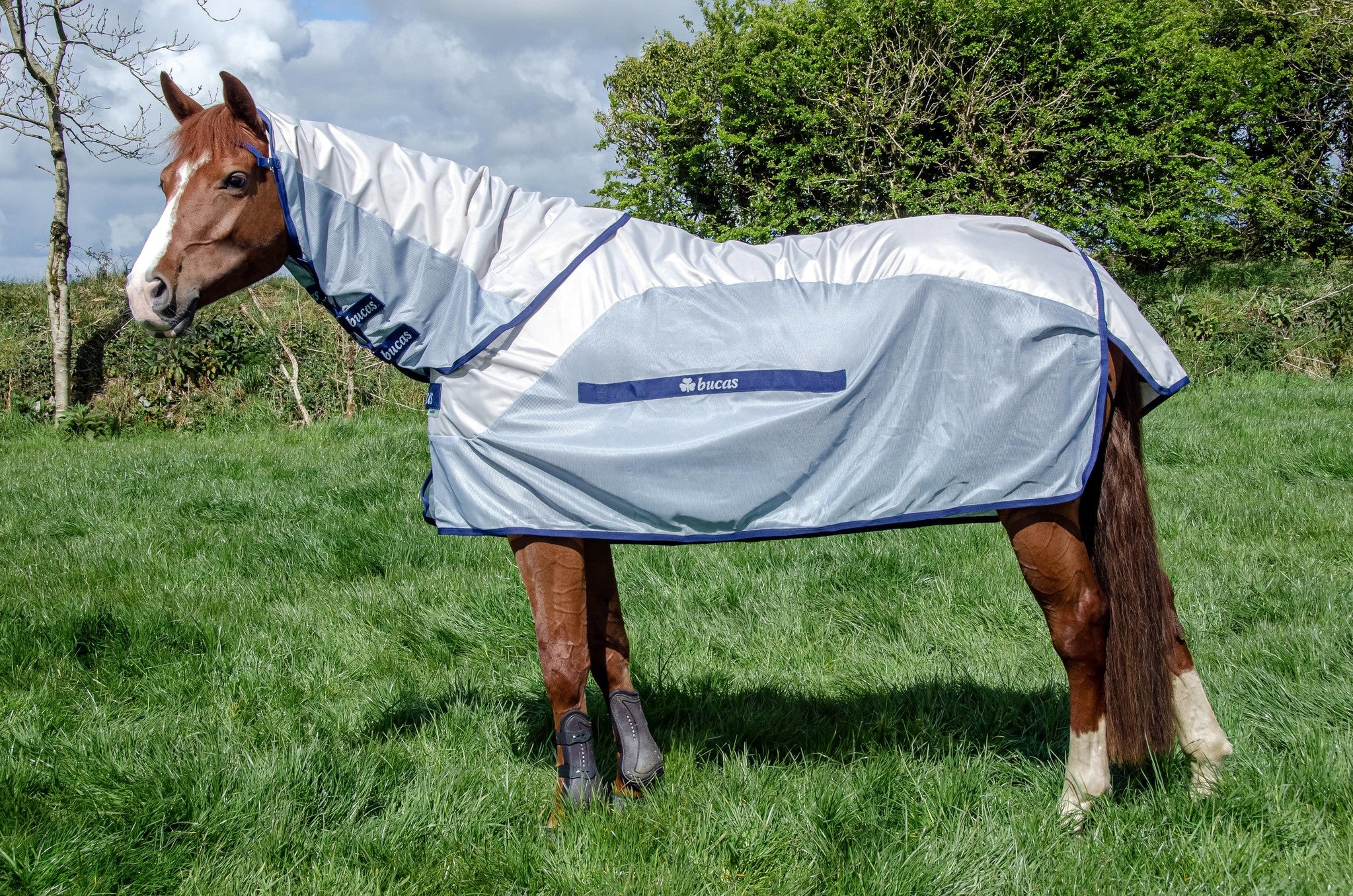 Bucas Vliegendeken Buzz Off Rain