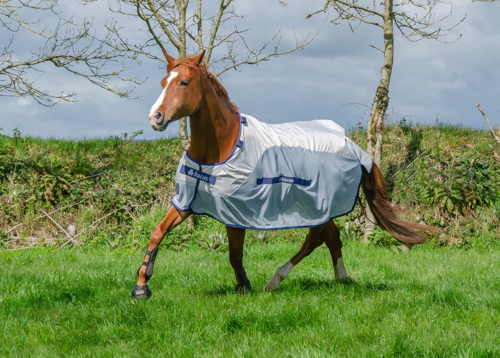 Bucas Vliegendeken Buzz Off Rain